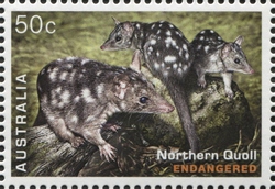 Stamp Collecting Month - Endangered Wildlife - Northern Quoll (Dasyurus hallucatus)