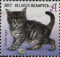 Stamp, Children philately - Kittens - Maine Coon, Belarus,  , Cats, Fauna