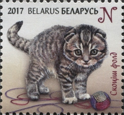 Stamp, Children philately - Kittens - Scottish Fold, Belarus,  , Cats, Fauna