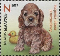 Stamp, Children philately - Puppies - American cocker spaniel, Belarus,  , Dogs, Fauna