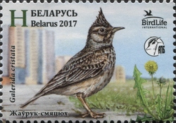 Stamp, Bird of the year - Crested lark (Galerida cristata), Belarus,  , Birds, Fauna