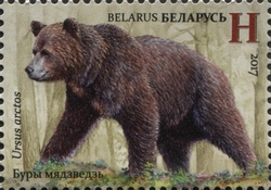 Stamp, The Red Book of the Republic of Belarus - Mammals - Brown bear (Ursus arctos), Belarus,  , Fauna, Mammals