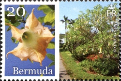 Stamp, Bermuda in Bloom Part 3, Bermuda,  , Flowers, Flora