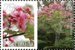 Stamp, Bermuda in Bloom Part 3, Bermuda,  , Flowers, Flora