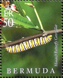 Stamp, Lifecycle of the Monarch Butterfly, Bermuda,  , Butterflies, Fauna