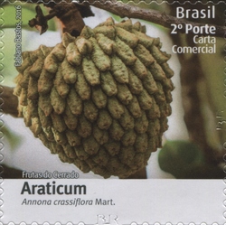Fruits of Cerrado - Araticum - Annona crassiflora Mart.