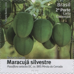 Stamp, Fruits of Cerrado - Wild Maracuja - Passiflora setacea CV., Brazil,  , Fruits, Flora