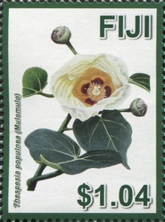 Hibiscus Flowers - A Symbol of Diversity in Fiji - Thespesia populnea