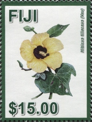 Hibiscus Flowers - A Symbol of Diversity in Fiji - Hibiscus tiliaceus