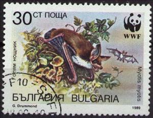 Stamp, Greater Mouse-eared Bat (Myotis myotis), Bulgaria,  , WWF, Bats, Animals (Fauna)