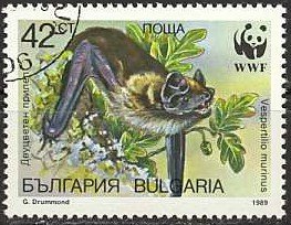 Parti-coulered Bat (Vespertilio murinus)