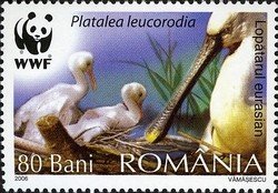 Stamp, Eurasian Spoonbill (Platalea leucorodia), Romania,  , Birds, Animals (Fauna)