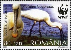 Stamp, Eurasian Spoonbill (Platalea leucorodia), Romania,  , Birds, Animals (Fauna)