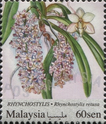 National Definitive Series - Orchids - Rhynchostylis retusa