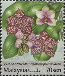 National Definitive Series - Orchids - Phalaenopsis violacea