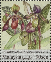 National Definitive Series - Orchids - Paphiopedilum lowii