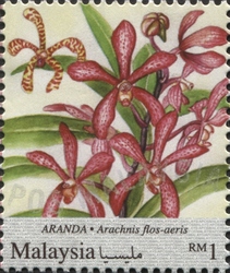 National Definitive Series - Orchids - Arachnis flos-aeris