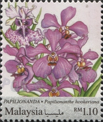 National Definitive Series - Orchids - Papilionanthe hookeriana