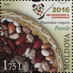 UN 2016 - International Year of Pulses - Bean (Phaseolus vulgaris)