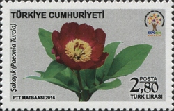 EXPO 2016 Antalya