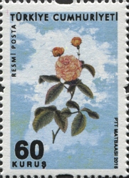 Sukufe (Miniaturised Rose Illustration) - Official Postage stamps