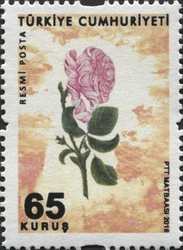 Sukufe (Miniaturised Rose Illustration) - Official Postage stamps