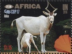 Eye on Africa - CITES COP17 - Addax