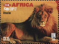 Eye on Africa - CITES COP17 - African Lion