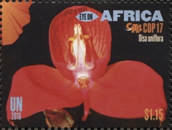 Stamp, Eye on Africa - CITES COP17 - Disa uniflora, United Nations, Offices in New York,  , Flowers, Flora
