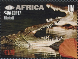 Eye on Africa - CITES COP17 - Nile crocodile