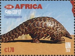 Eye on Africa - CITES COP17 - Ground pangolin
