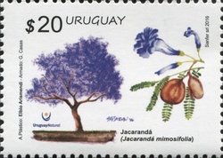 Stamp, Spring 2016 Series - Native Trees - Jacaranda (Jacaranda mimosifolia), Uruguay,  , Trees, Flora