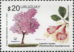 Stamp, Spring 2016 Series - Native Trees - Pink Lapacho (Handroanthus impetiginosus), Uruguay,  , Trees, Flora