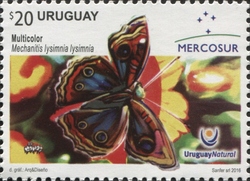 Stamp, Mercosur Series - Butterflies of Uruguay - Mechanitis lysimnia lysimnia, Uruguay,  , Butterflies, Fauna
