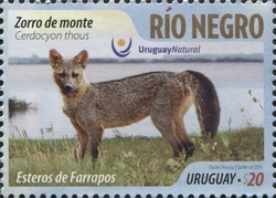 Tourism Destinations Series - Rio Negro