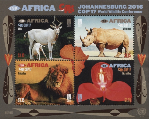 Eye on Africa 
