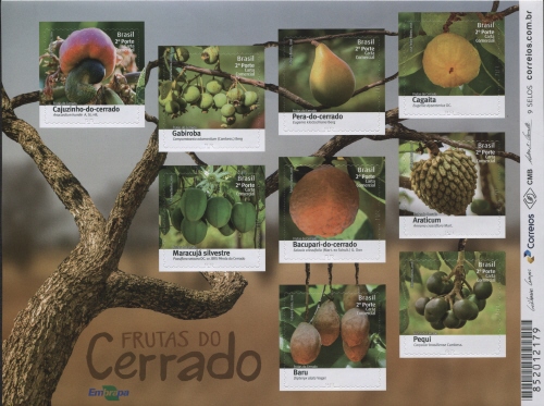 Fruits of Cerrado 