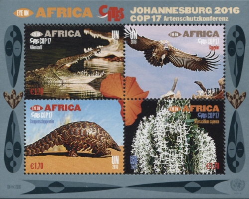 Eye on Africa 