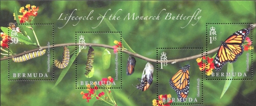 Mini Sheet, Lifecycle of the Monarch Butterfly, Bermuda,  
