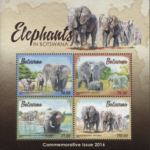 Elephants in Botswana