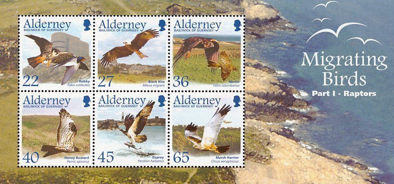Migrating Birds 1 Raptors