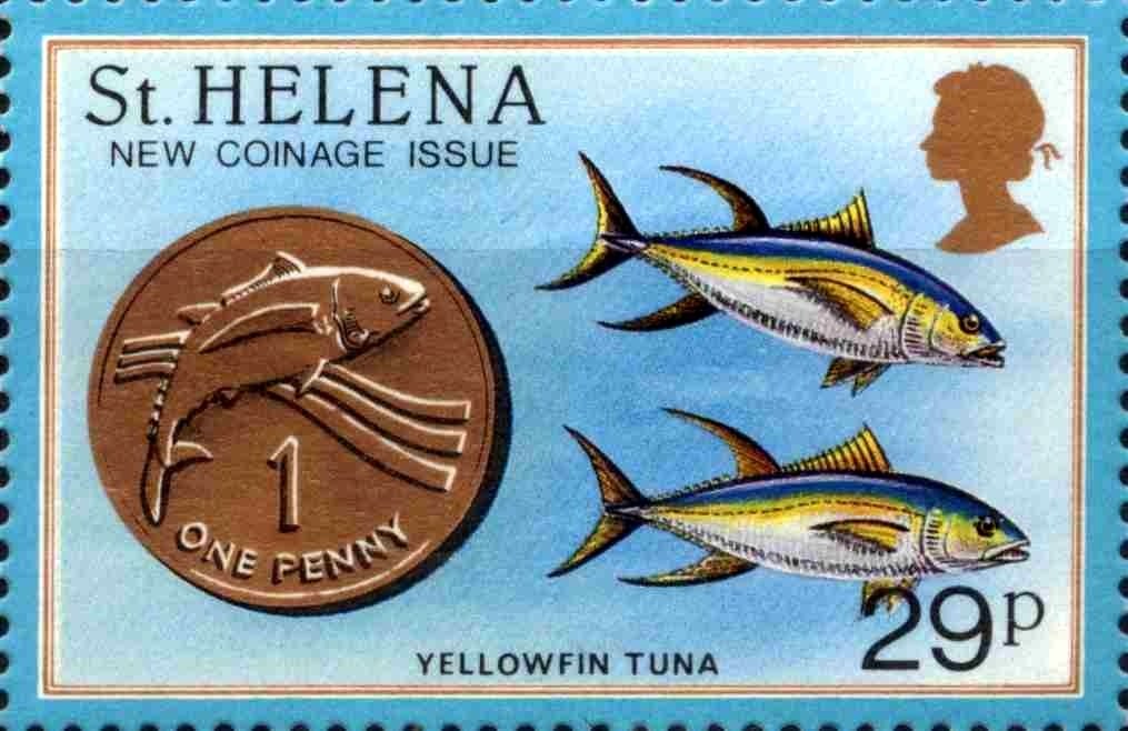 Yellowfin Tuna