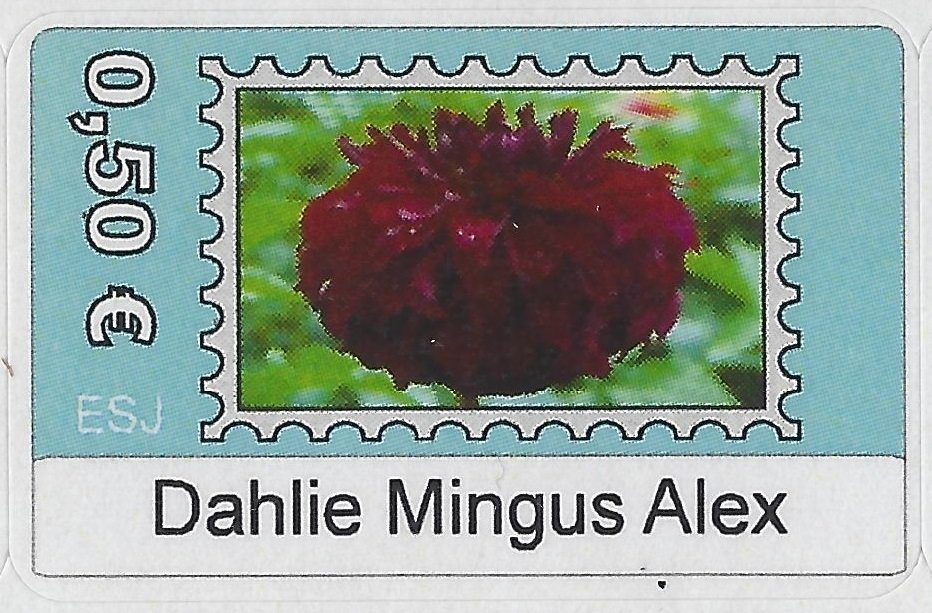 Dahlie Mingus Alex