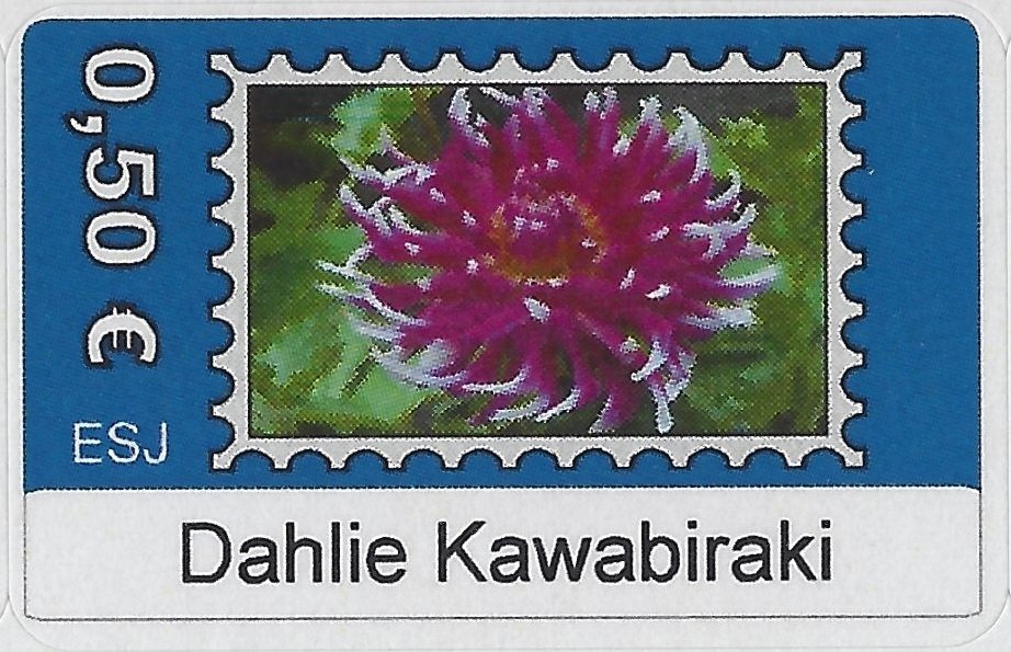 Dahlie Kawabiraki