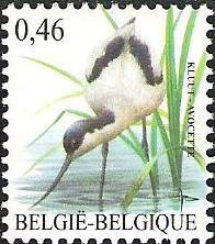 Stamp, Pied Aocet (Recurvirostra avosetta) , Belgium,  , Birds, Animals (Fauna)