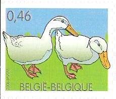 Stamp, Domestic Duck (Anas platyrhynchos domestica), Belgium,  , Birds, Ducks, Animals (Fauna)