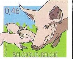 Stamp, Domestic Pig (Sus scrofa domestica), Belgium,  , Mammals, Pigs, Animals (Fauna)