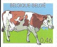 Domestic Cattle (Bos primigenius taurus)