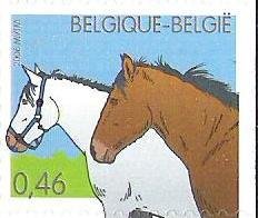 Horse (Equus ferus caballus)