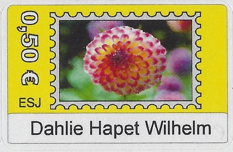 Dahlie Hapet Wilhelm